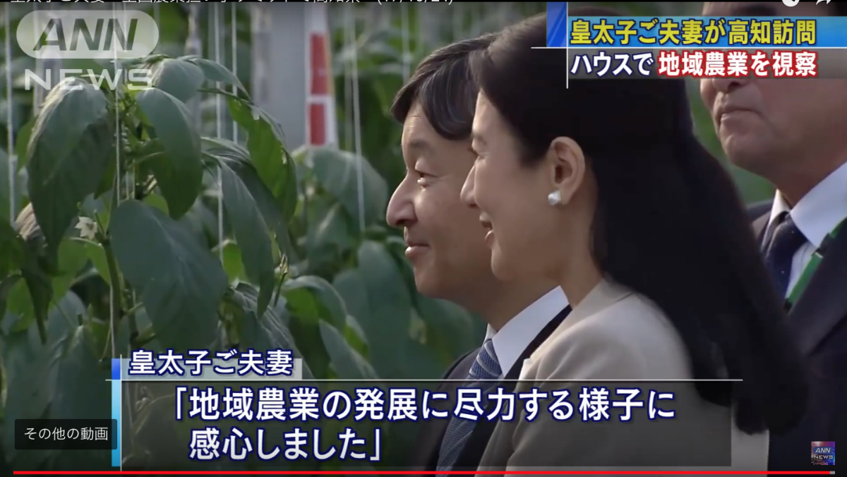 ANN ニュース（テレ朝news ANNnewsCH） 皇太子ご夫妻　全国農業担い手サミットで高知県へ(17/10/24)